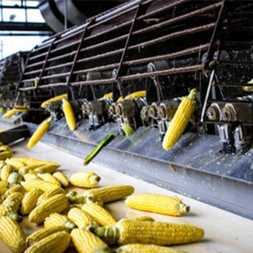 Production alimentaire